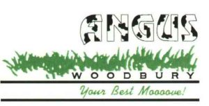 The First logo, adding color in 1990 was a huge thing! Angus Woodbury Real Estate in Chicago's Western Suburbs